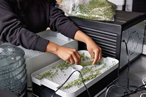 The 7 Best Food Dehydrators of 2024, Tested & Reviewed .